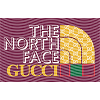 Brand Catalog-ZX 169